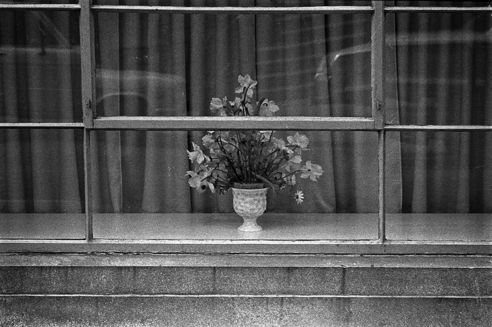 Plastic Window Flowers