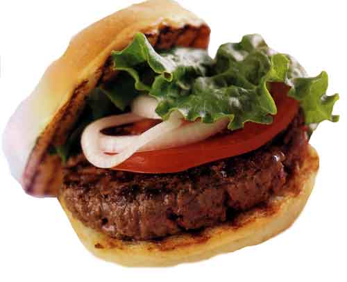 http://www.panix.com/~clay/cookbook/images/hamburger02.jpg