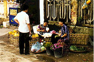 vnvendor.jpg (33028 bytes)