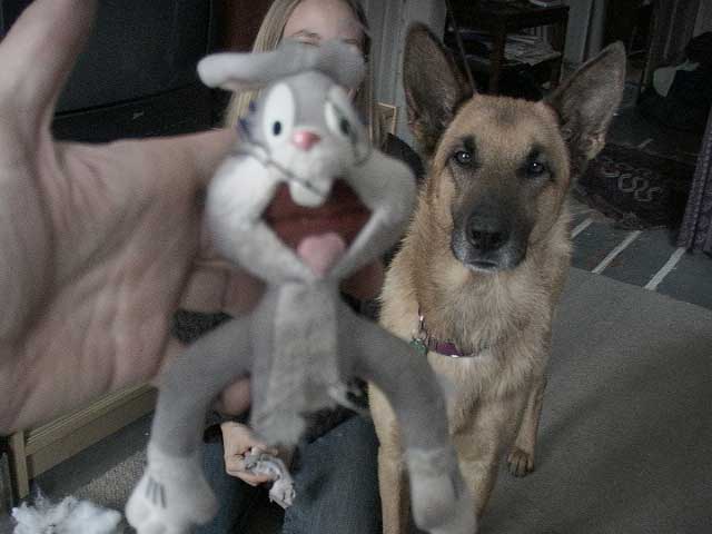 [Image: No Boat Propeller Did This!.]