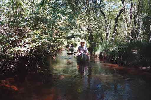 [Image: setting out]