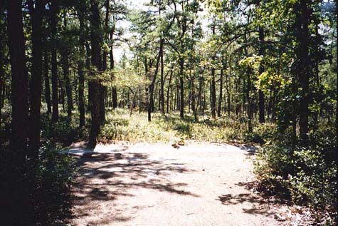 [IMAGE: path leading off lunch Highbank]