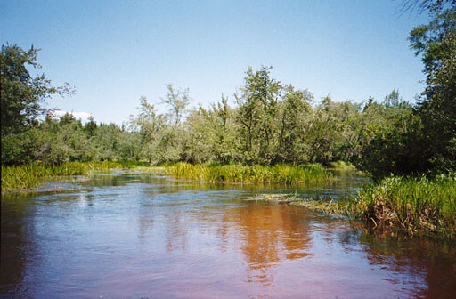 [IMAGE: river bend]