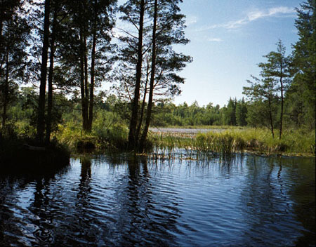 [IMAGE: the beginings of the lake]
