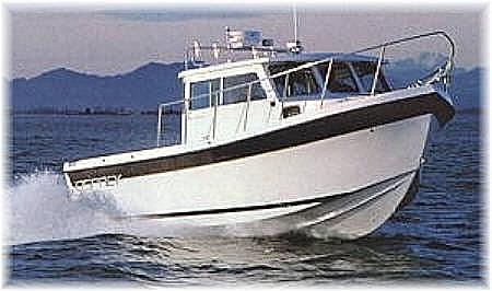 An Osprey Underway