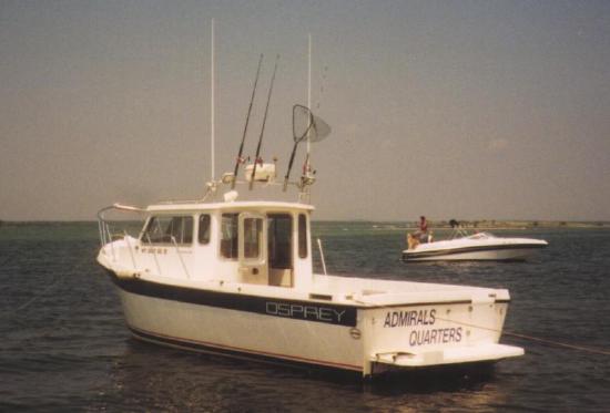 An Osprey Underway