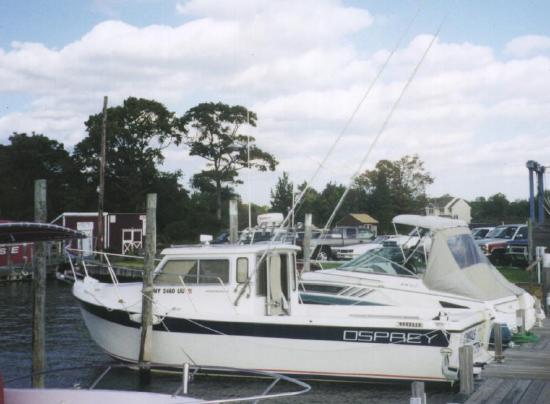 An Osprey Underway