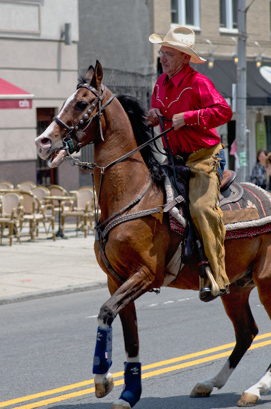 Rider