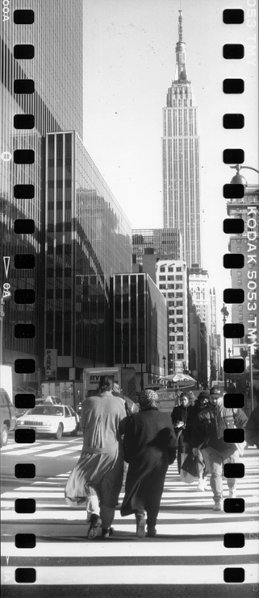 Panorama Panorama