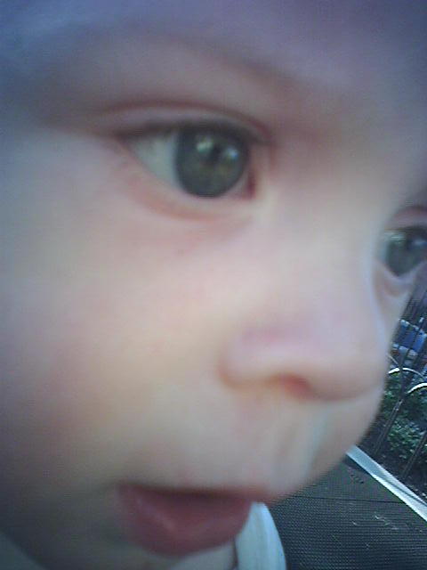 closeup