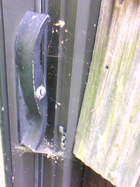 cobweb-security