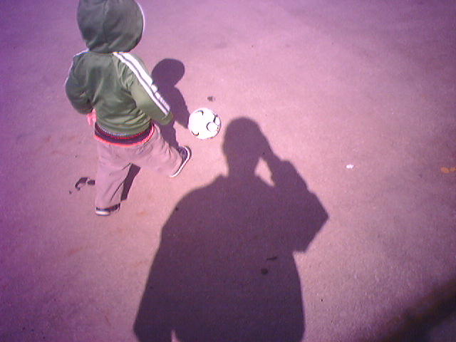 shadows-etc