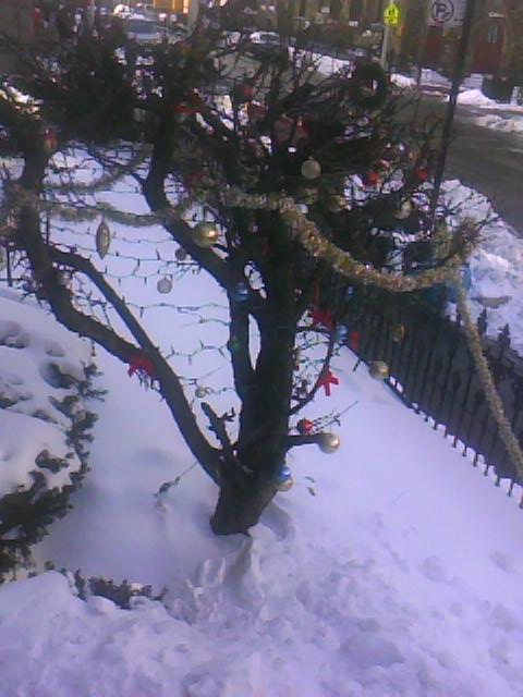 snow-stuff