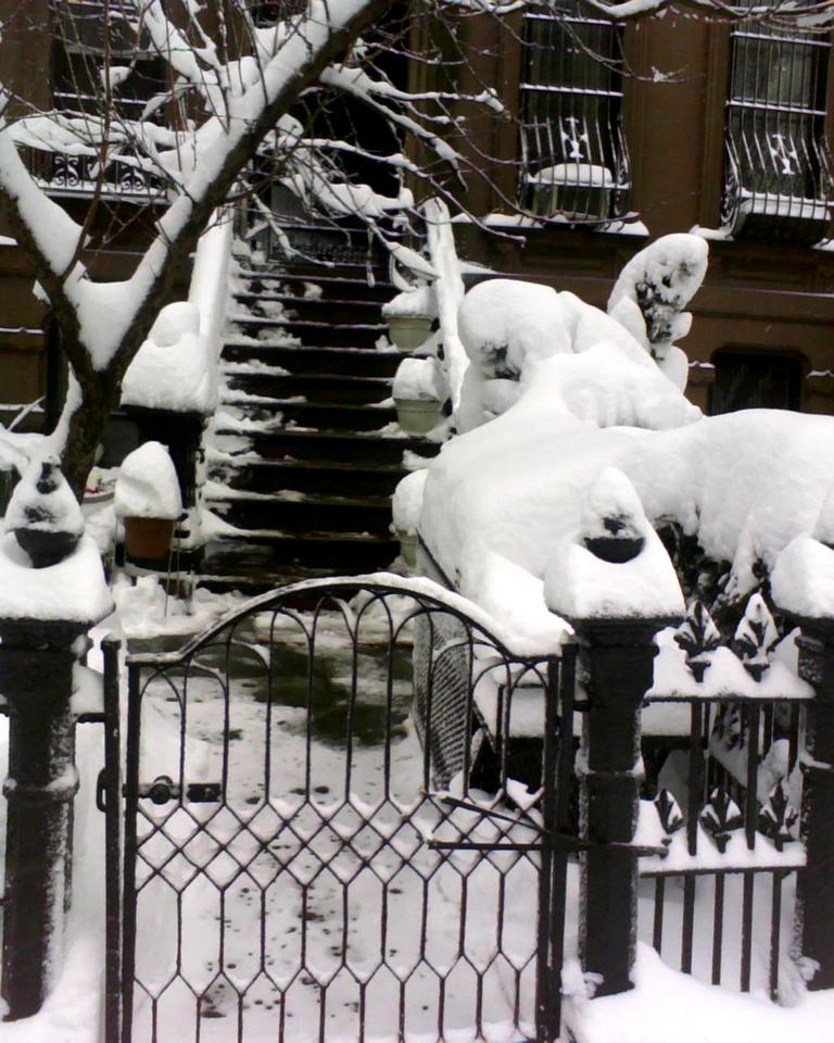 snowy-stuff