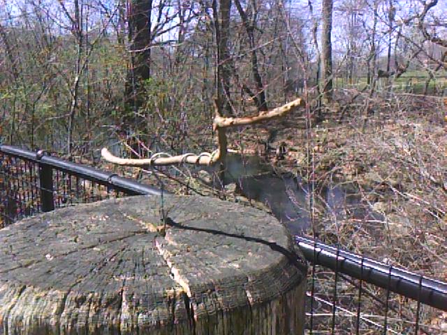 stick-sculpture