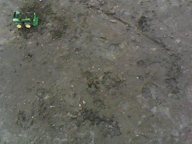 tractor-mud