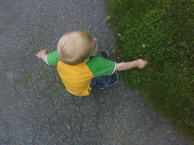 cutting-grass
