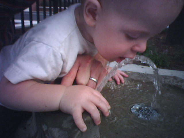 fountain