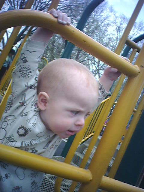 monkey-bars