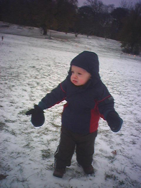 snow-is-awesome