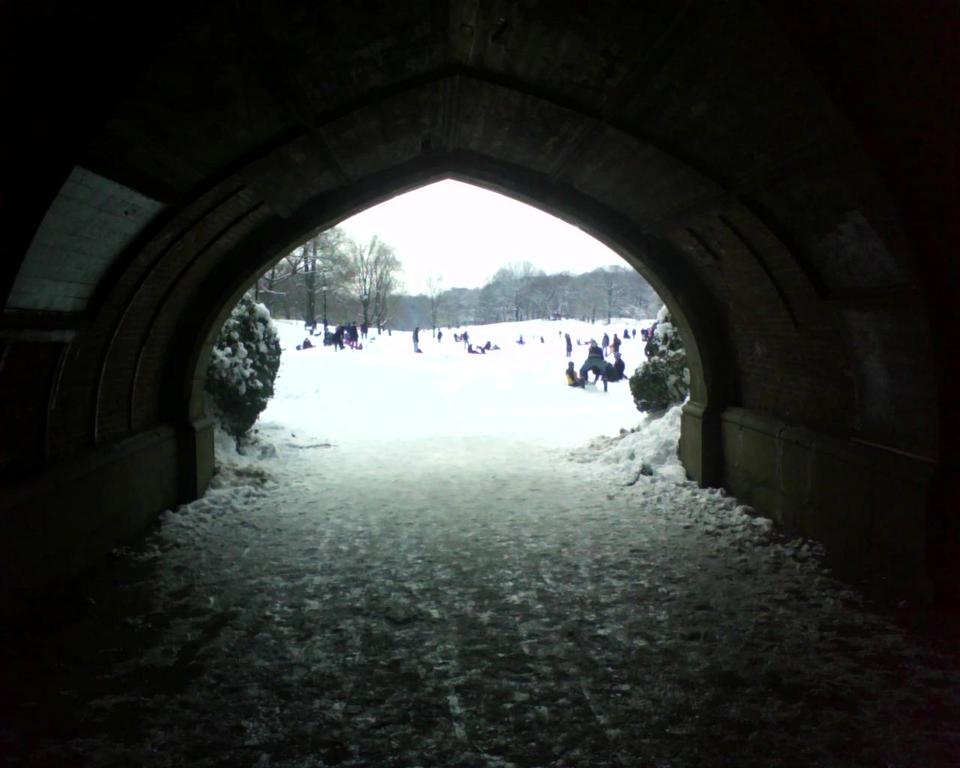 snowy-stuff