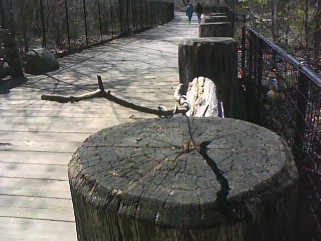 stick-sculpture