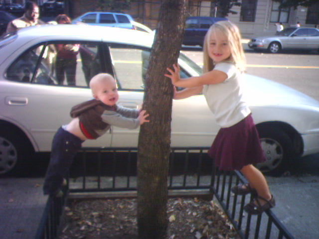 tree-trick