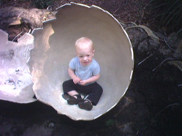 zoo