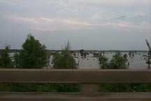 Swampy Louisiana, around Baton Rouge