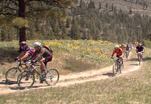 Looking down at more Bikes