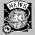 The Newsletters