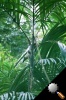 roll1007.jpg