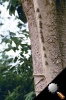 roll3dx-12.jpg