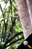 roll3dx-13.jpg