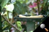 roll3dx-5.jpg