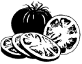 tomato drawing