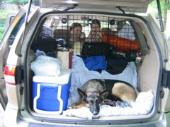 Greta and the girls just want to go