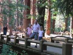 IMG_1162.JPG