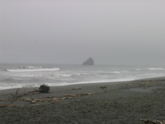 Pacific Coast