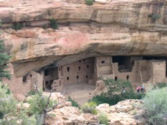 Spruce_Tree_House