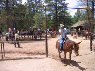 IMG_1005.JPG