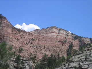 Zion Landscape 3