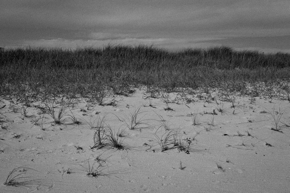 Grass and beach