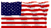 [IMAGE: US Flag]