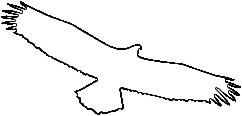 SkySight