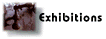 take me to the exhibit section