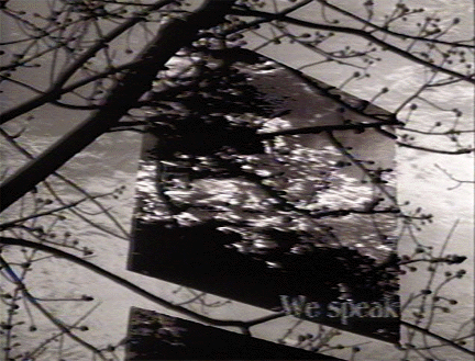 superimposed image of river and window with text