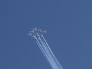 Snowbirds