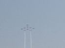 Snowbirds