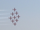 Snowbirds
